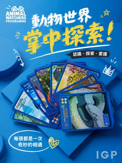 香港企業禮品訂製 - ANIMAL WATCHERS PROGRAMME