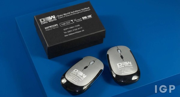 Data World Solutions Ltd