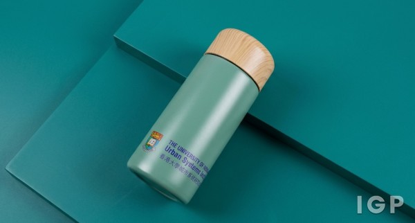港大城市系統研究院