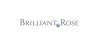 Brilliant Rose