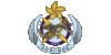 政府飛行服務隊