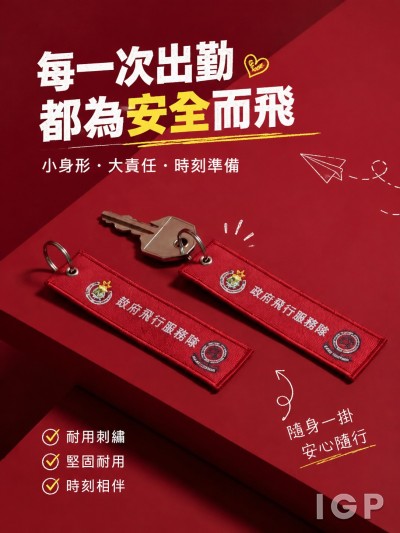 政府飛行服務隊