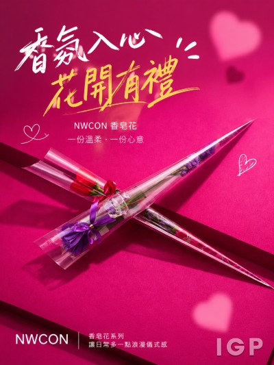 香港企業禮品訂製 - NWCON