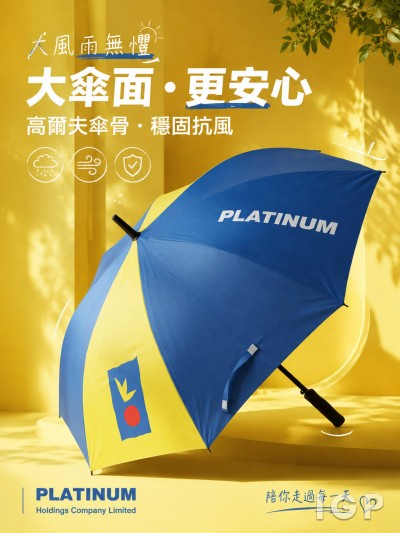 PLATINUM Holdings Company Limited