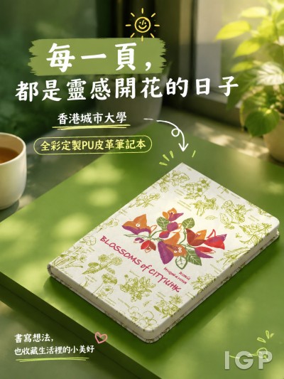 香港城市大学