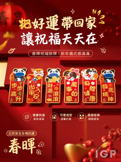 公共安全及傳訊課
