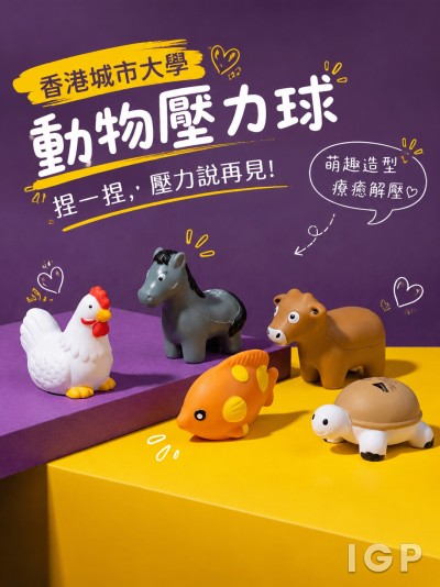 香港城市大學