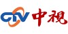 中視