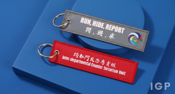 政府飛行服務隊