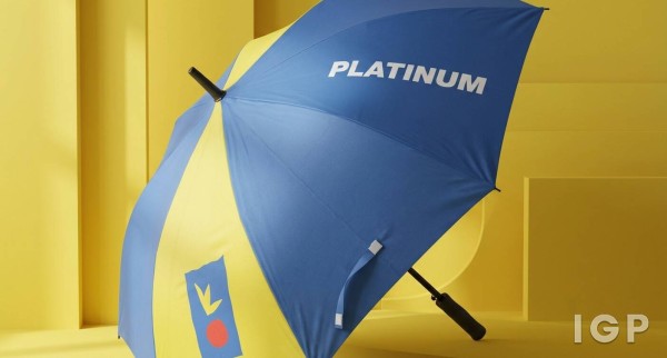 PLATINUM Holdings Company Limited