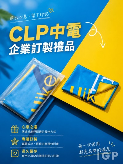 中電控股