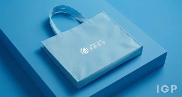 Intl Chinese Academy Edu Foundation Ltd