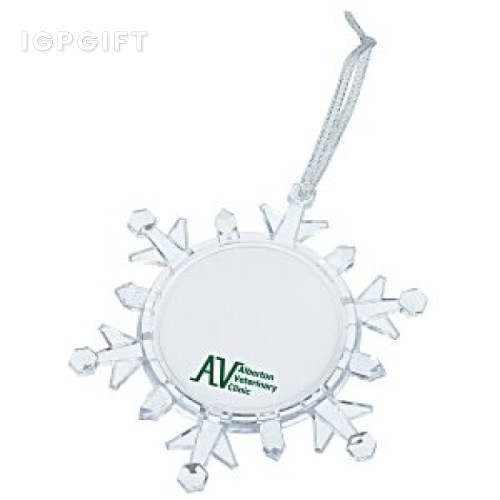 閃亮雪花照片裝飾品