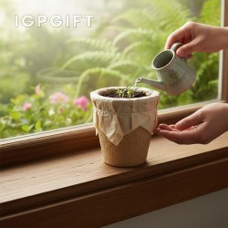 可生長植物盆