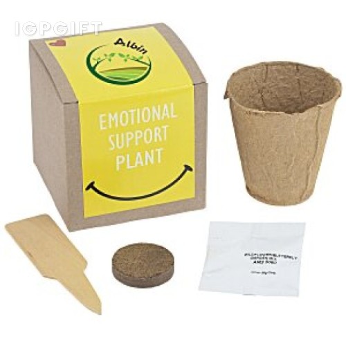 心靈支持植物禮品套件