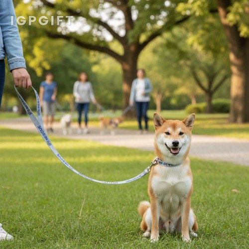 寵物牽引帶