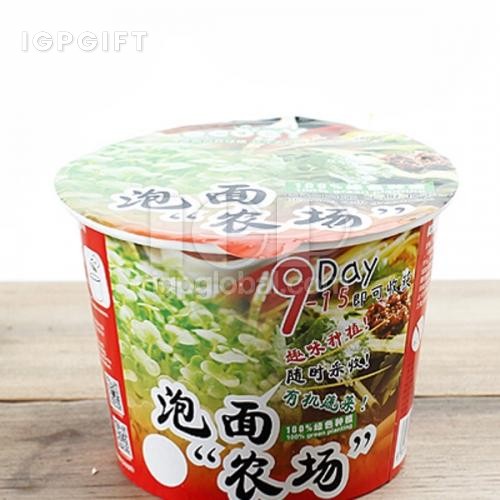 紙質泡麵農場盆栽