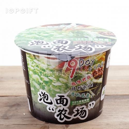 紙質泡麵農場盆栽