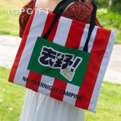二合一折疊野餐墊手提袋