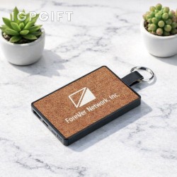 節能型便攜式電源