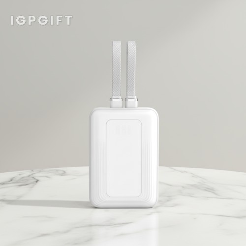 便攜式雙槽行動電源
