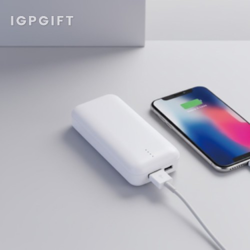 快充行動電源