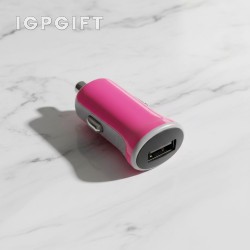 車載充電器