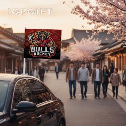 汽車旗幟