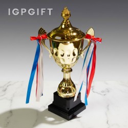 彩帶金屬獎盃系列 10