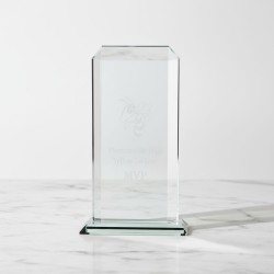 耀目星辰玻璃獎杯 - 11寸