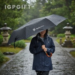 風雨自動開關折疊傘