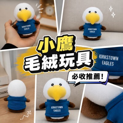 香港企業禮品訂製 - 小鷹毛絨玩具