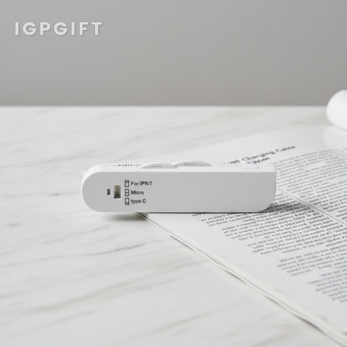 瑞士多功能充電線