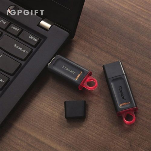 Kingston 時尚多彩USB儲存器