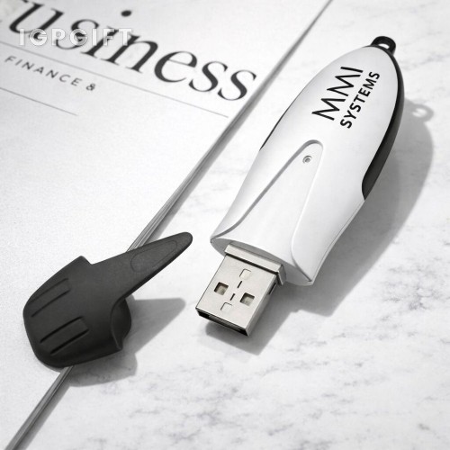 星辰USB閃存儲器 - 1GB