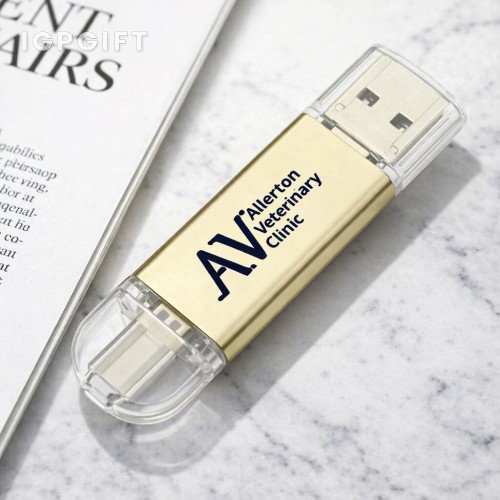 月影USB-C閃存盤 - 2GB