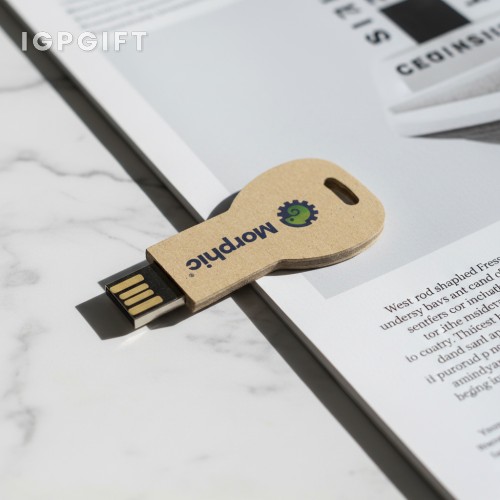 環保金鑰 USB 隨身碟 - 8GB