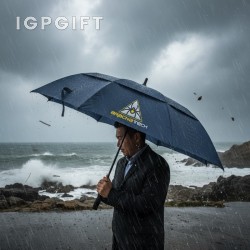 颶風防風雨傘