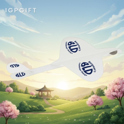 飛行夢幻紙飛機