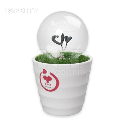 愛心燈泡盆栽