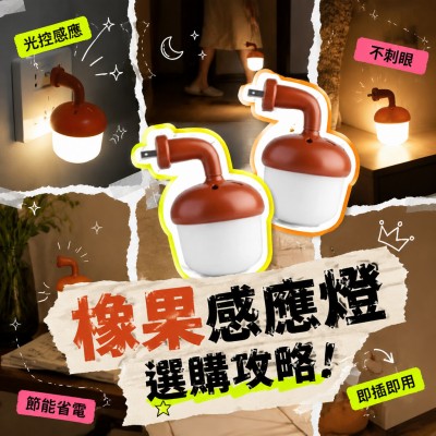 香港企業禮品訂製 - 橡果感應燈