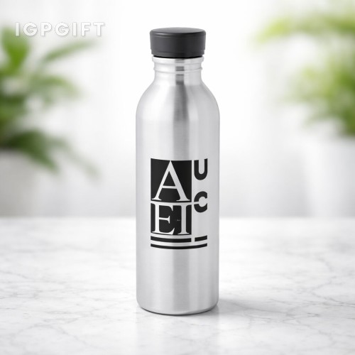高檔鋁製水瓶 - 17 oz.