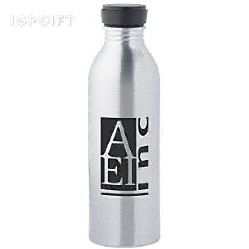 高檔鋁製水瓶 - 17 oz.