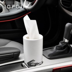瓶裝車用紙巾