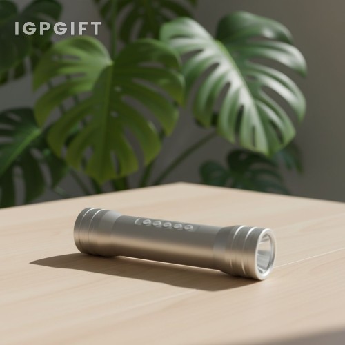 手電筒揚聲器