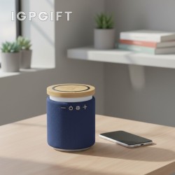 竹木無線充電藍牙音箱