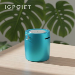 迷你揚聲器