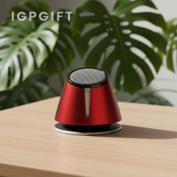 圓形揚聲器