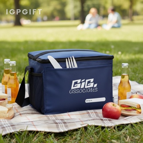 便攜式6瓶冰袋