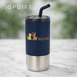 現代金屬水杯與不鏽鋼吸管 - 16 盎司